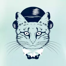 Kočka hipster s kloboukem