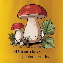 Hřib smrkový - Boletus edulis kreslený