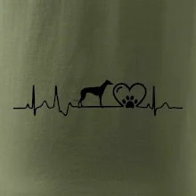 Chrt - Ekg