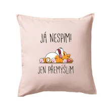 Já nespím, jen přemýšlím