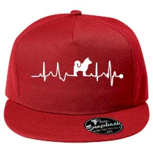 Shiba-Inu EKG Shiba-Inu EKG
