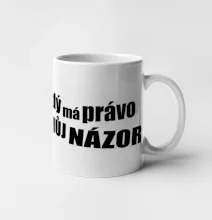 Každý má právo na můj názor