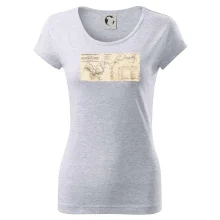 Mapa Báňské dráhy z Moravské Ostravy do Doubravy