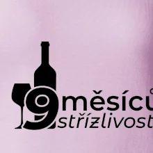 9 měsíců střízlivosti