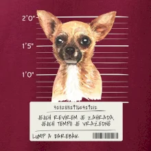 Lump a darebák čivava