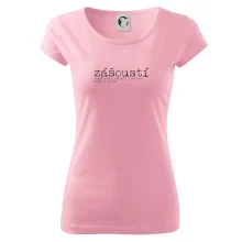 Čeština 2.0 - zášoustí