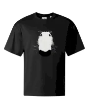 Barzoj čumák (Moňas)