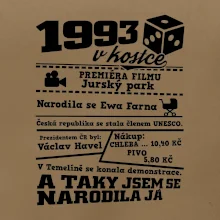 1993 v kostce