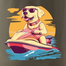 Zlatý retrívr na vodním skútru