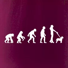 Lagotto romagnolo Evoluce