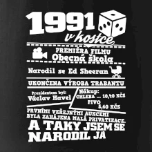 1991 v kostce