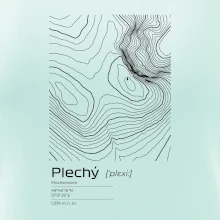 Plechý - vrstevnice v obdélníku