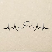 Labrador EKG Labrador EKG