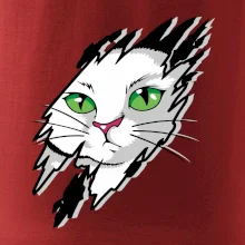 Kočka v roztrženém triku