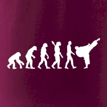 Karate Evoluce - kop