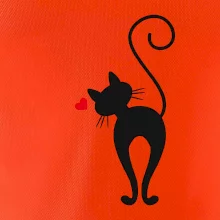 Zamilovaná kočka zezadu