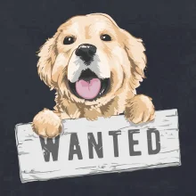 Zlatý retriever - štěně wanted