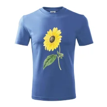 Slunečnice otočená