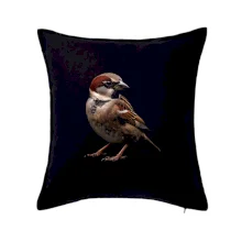 Vrabec polní černá fotka