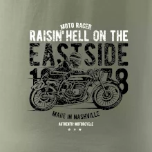 Raisin Hell Moto Racer