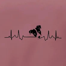 Jack Russell Terriér  - hlava