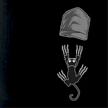 Kočka vypadla z kapsy