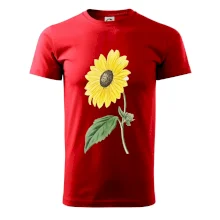 Slunečnice otočená