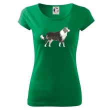 Border kolie kreslená