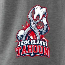 Jsem hlavní tahoun