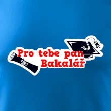 Pro tebe pan Bakalář