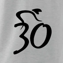 Cyklista slaví třicítku (30)