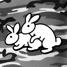 Dupající králící