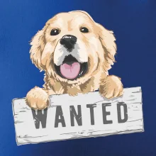 Zlatý retriever - štěně wanted
