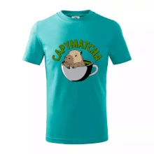 Capybara papymatcha