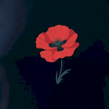 Vlčí mák kreslený velký