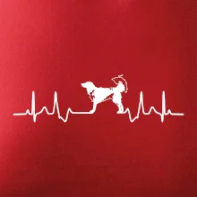 Český strakatý pes EKG