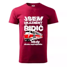 Jsem ukázněný řidič - tramvaj