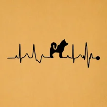 Shiba-Inu EKG Shiba-Inu EKG