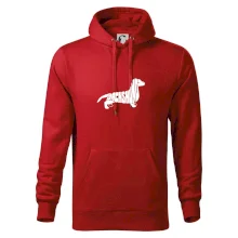 Jezevčík - Dachshund