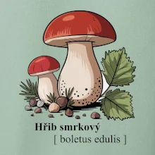 Hřib smrkový - Boletus edulis kreslený