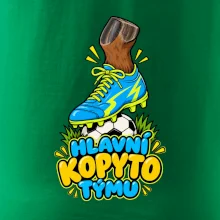 Hlavní kopyto týmu