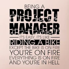 Being A Project Manager - bike
