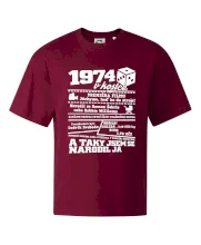 1974 v kostce