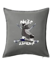 Hokej - naše zbraně