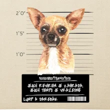 Lump a darebák čivava