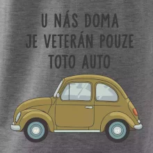 U nás doma je veterán pouze toto auto zelené
