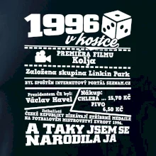 1996 v kostce