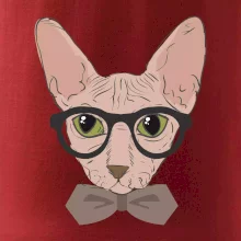 Hipster sphynx