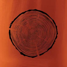 Letokruhy 95 bez věku