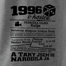 1996 v kostce